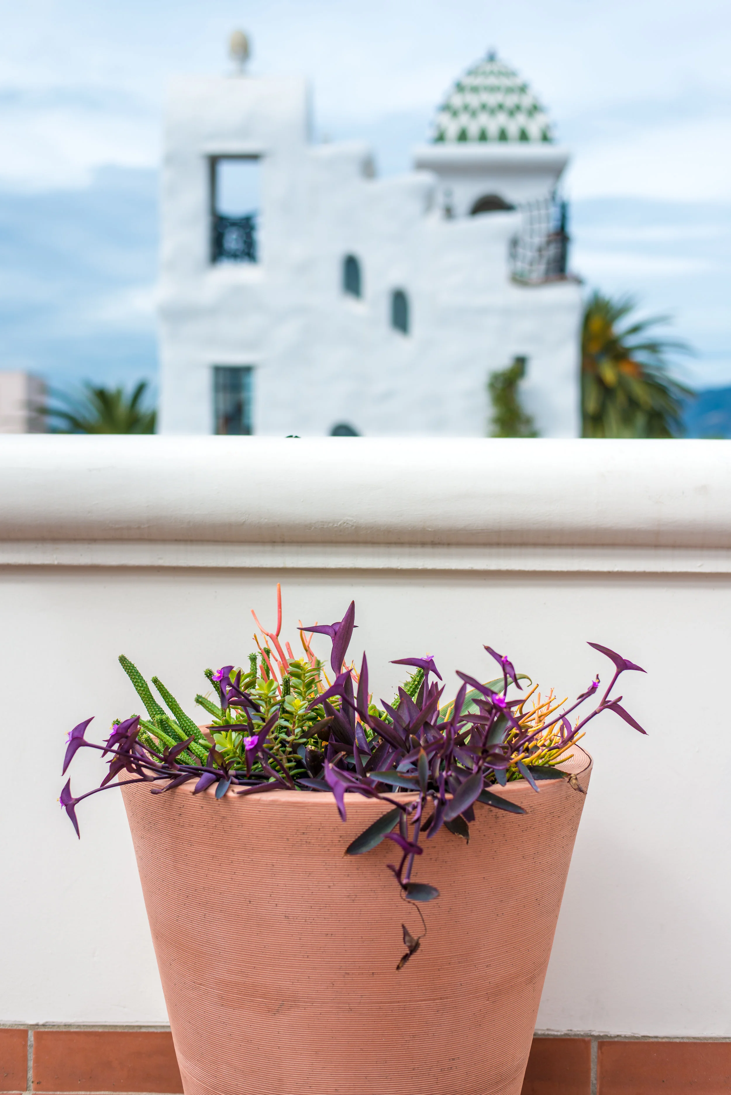 19_Outdoor_Cactus_Purple_Business_EL.jpg