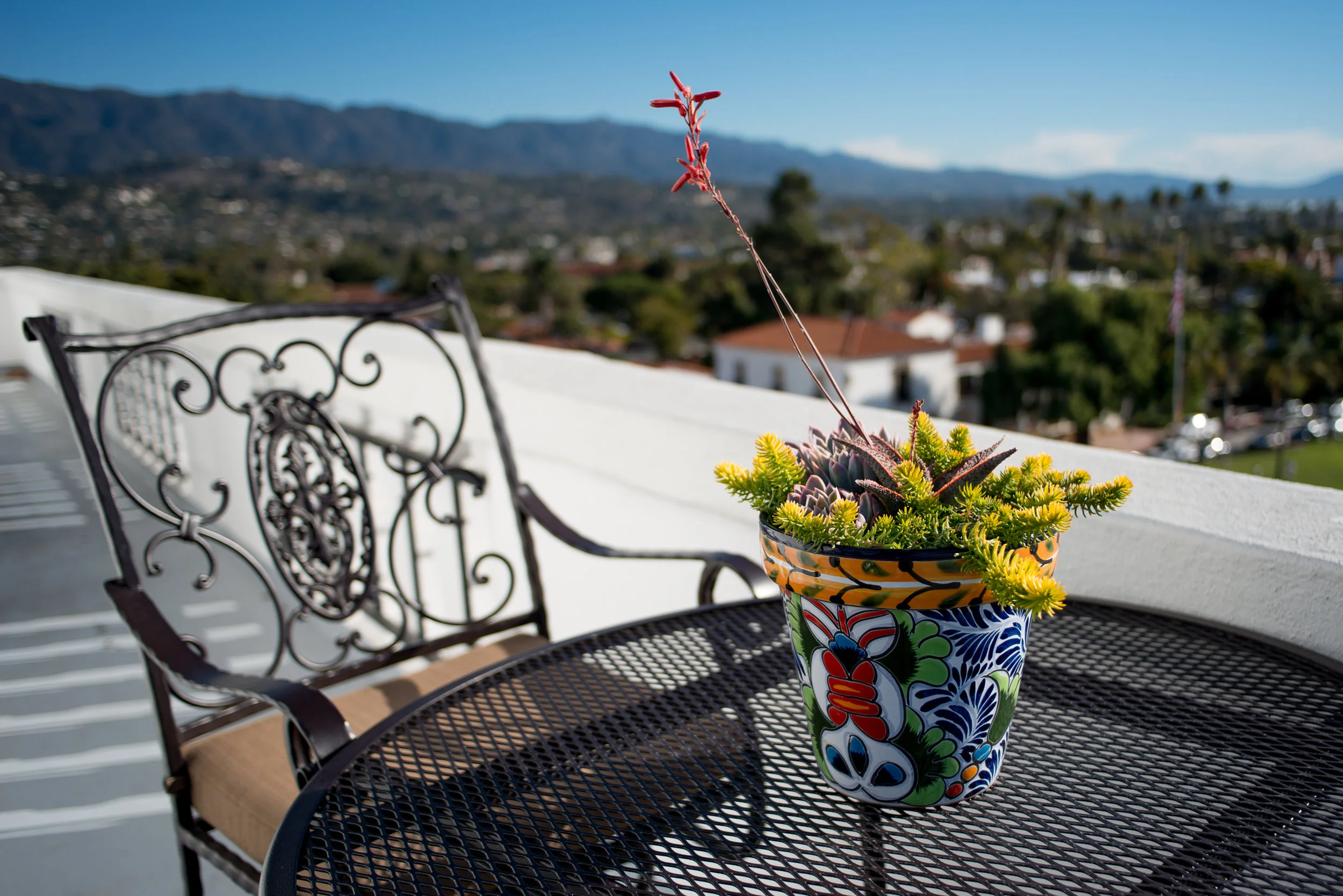 31_Succulent_Mexican_Outdoor_Pot_Business_EL.jpg