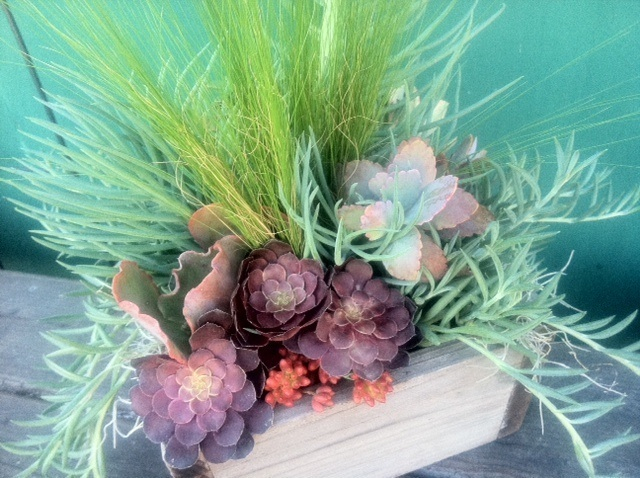 33_Succulents_rustic_box_Outdoor_Business_EL.jpg