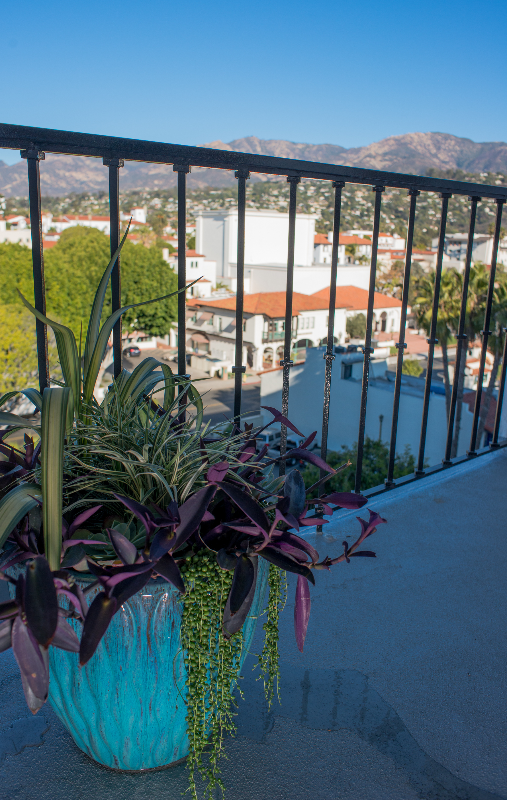 38_succulents_Outdoor_Plants_Glazed_Pot_Business_EL.jpg