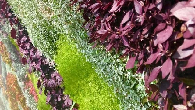 Winter Newsletter 2019