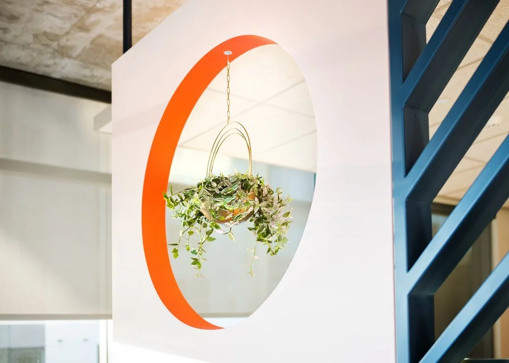 Photographer: Willa Kveta