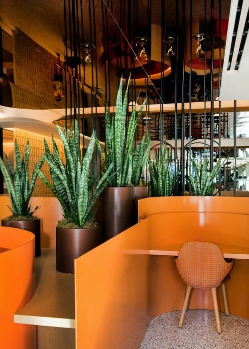 Photographer: Willa Kveta