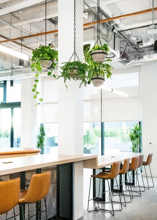 Photographer: Willa Kveta