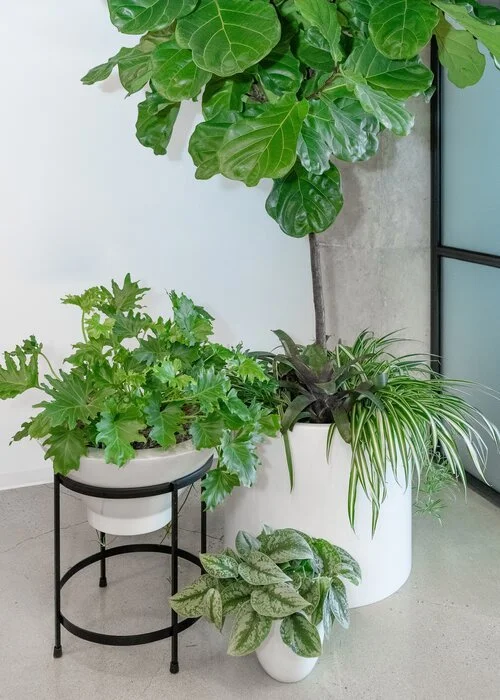 Photographer: Willa Kveta