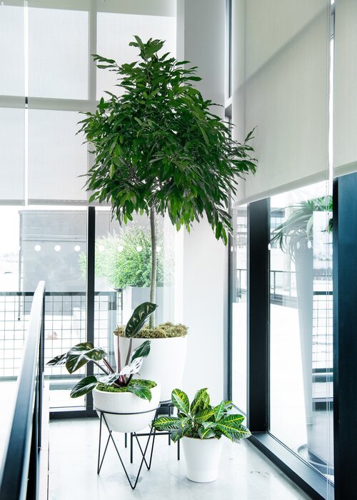 Photographer: Willa Kveta