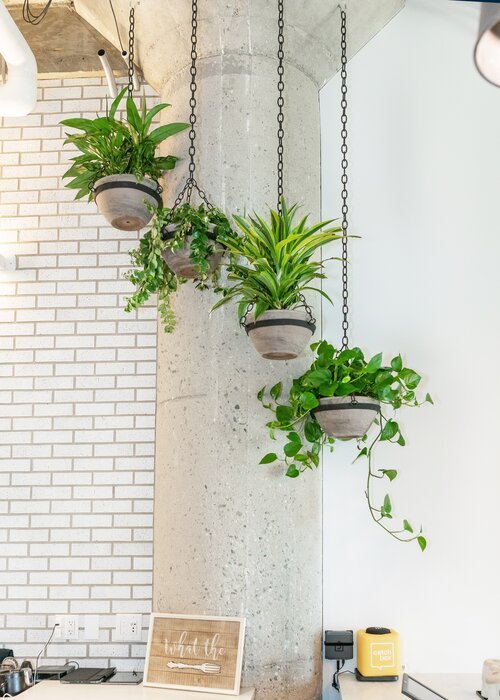 Photographer: Willa Kveta