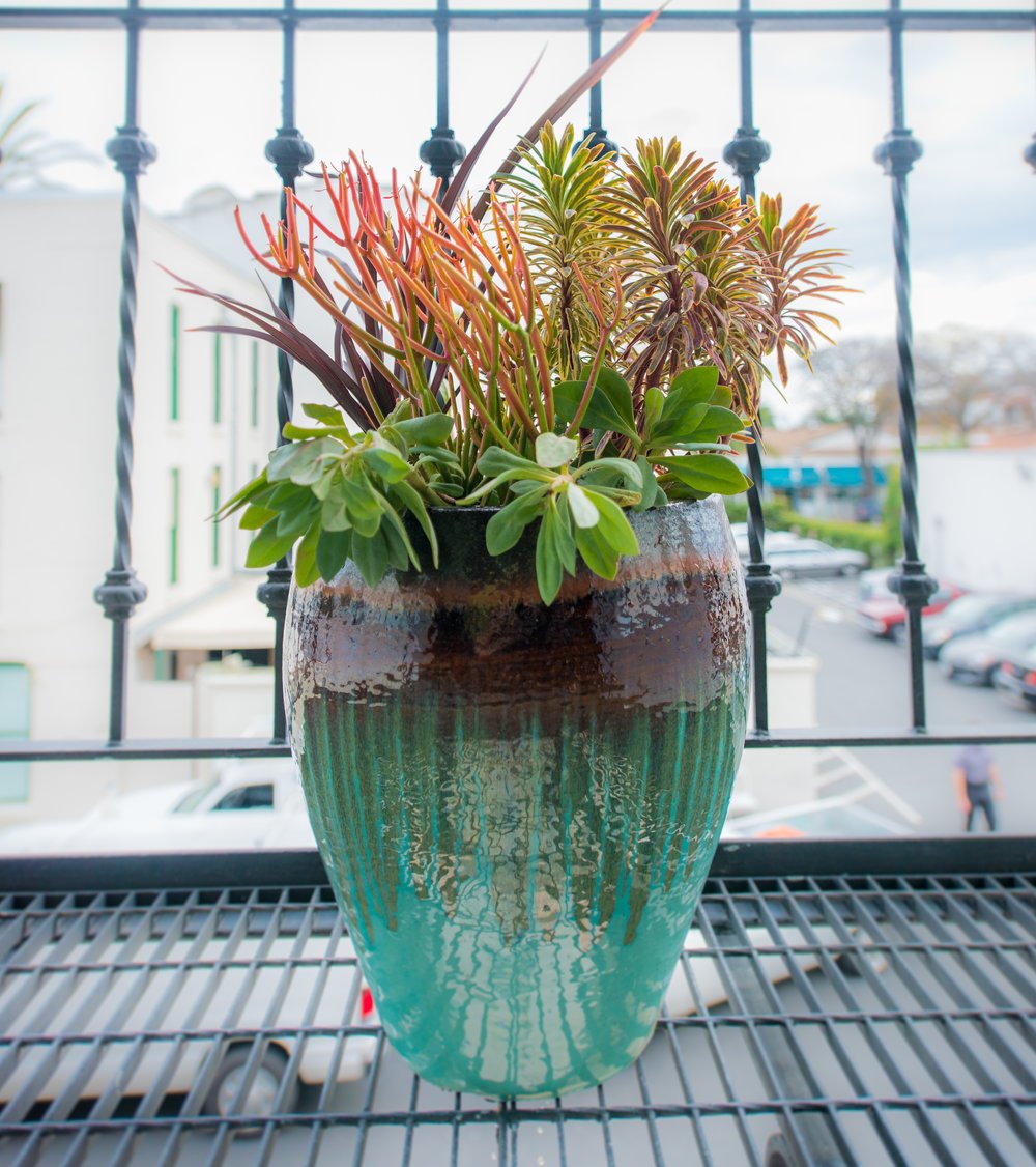 24_Succulents_Outdoor_Plants_Glazed_Pots_Business_EL.jpg