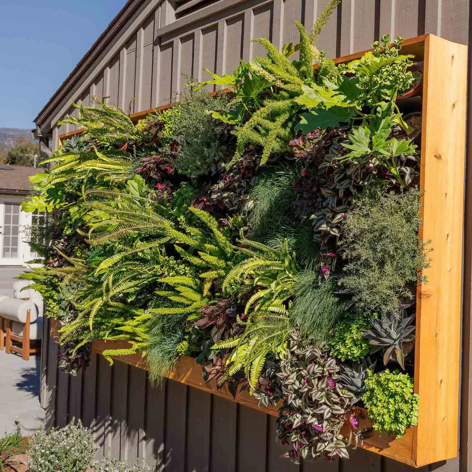 Custom outdoor living wall with wooden frame — Lush Elements Santa Barbara