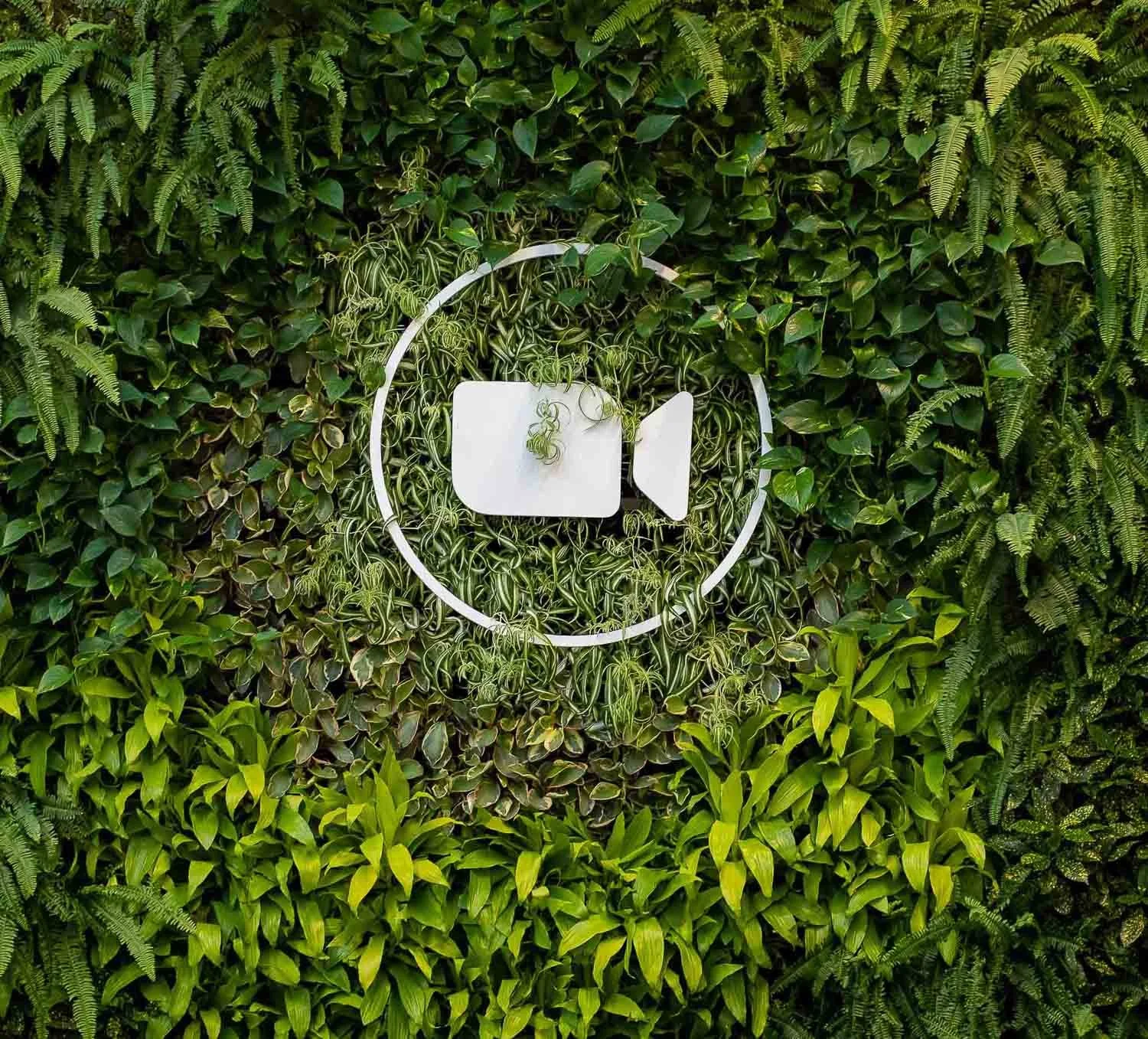 Lush green living wall installation — Lush Elements Santa Barbara