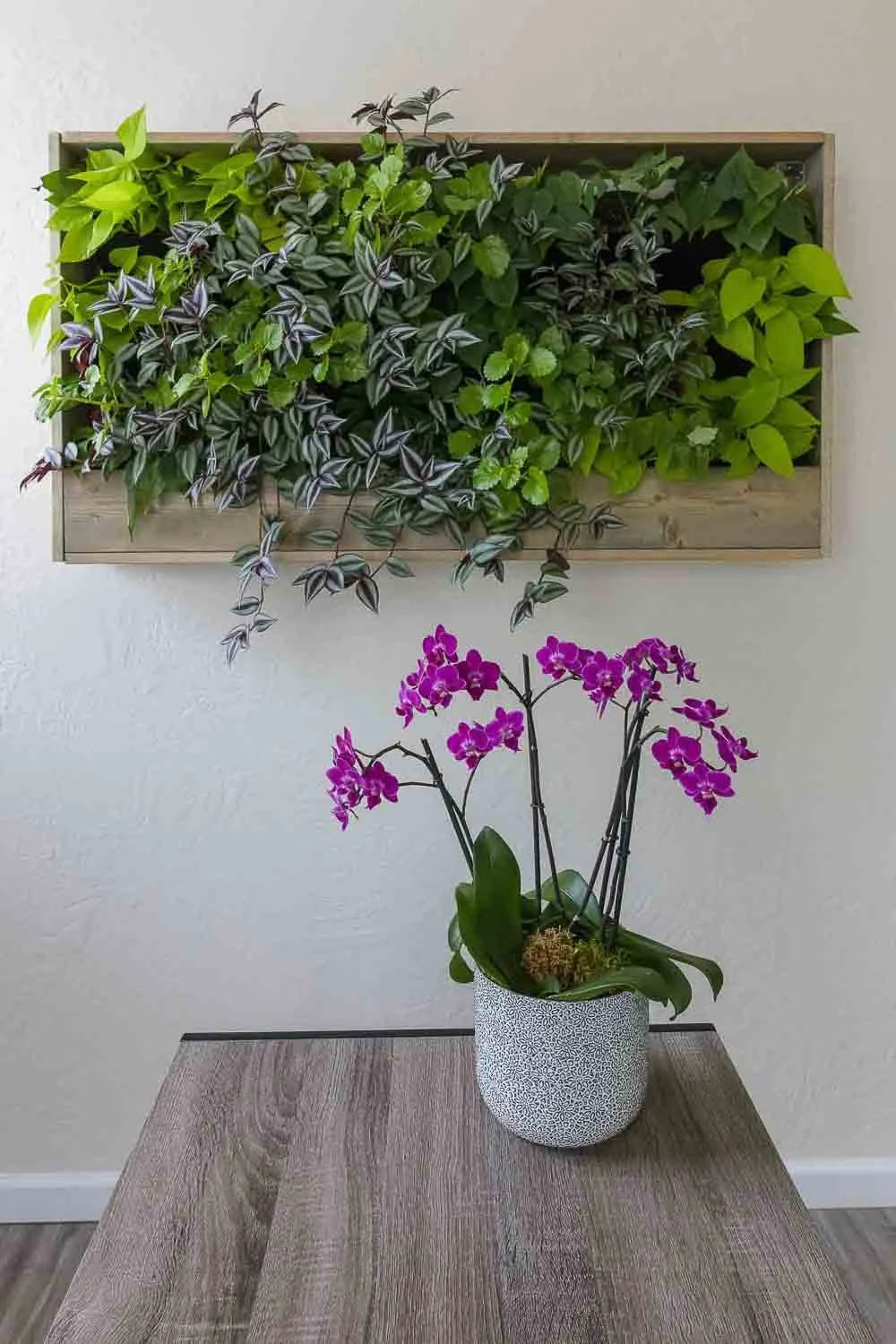 Origins_EL_LivingWall-2.jpg