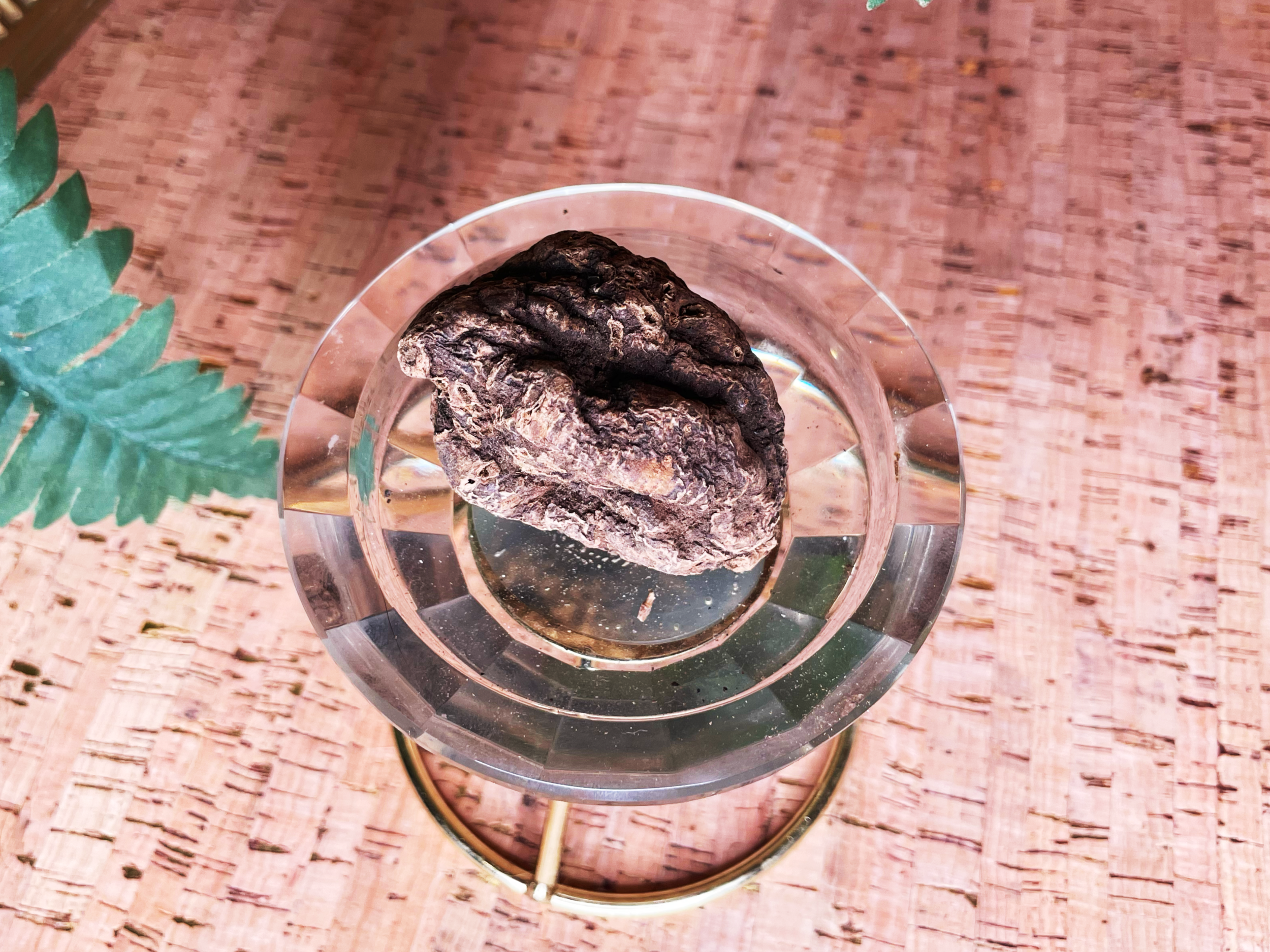HJC specimen B2.png