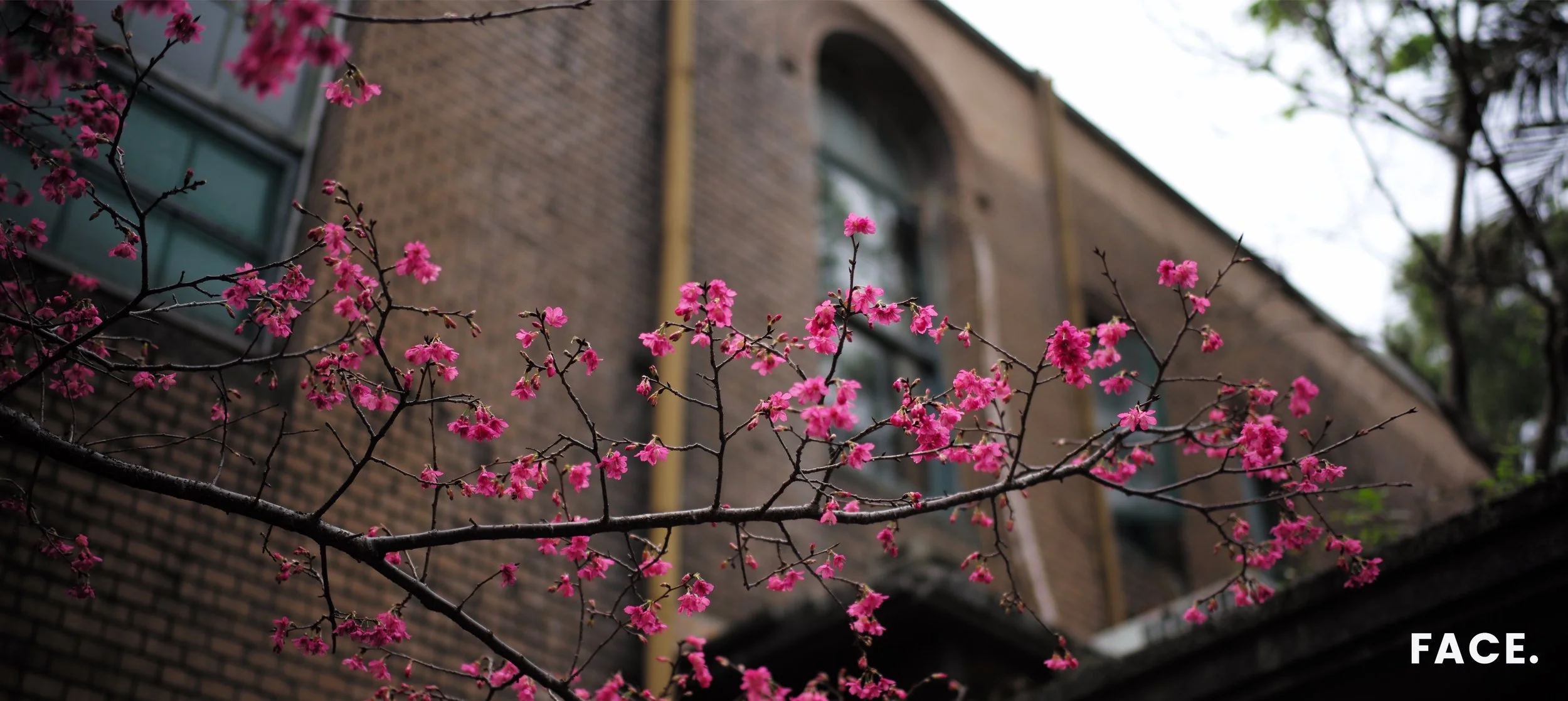Image-1-6.jpg