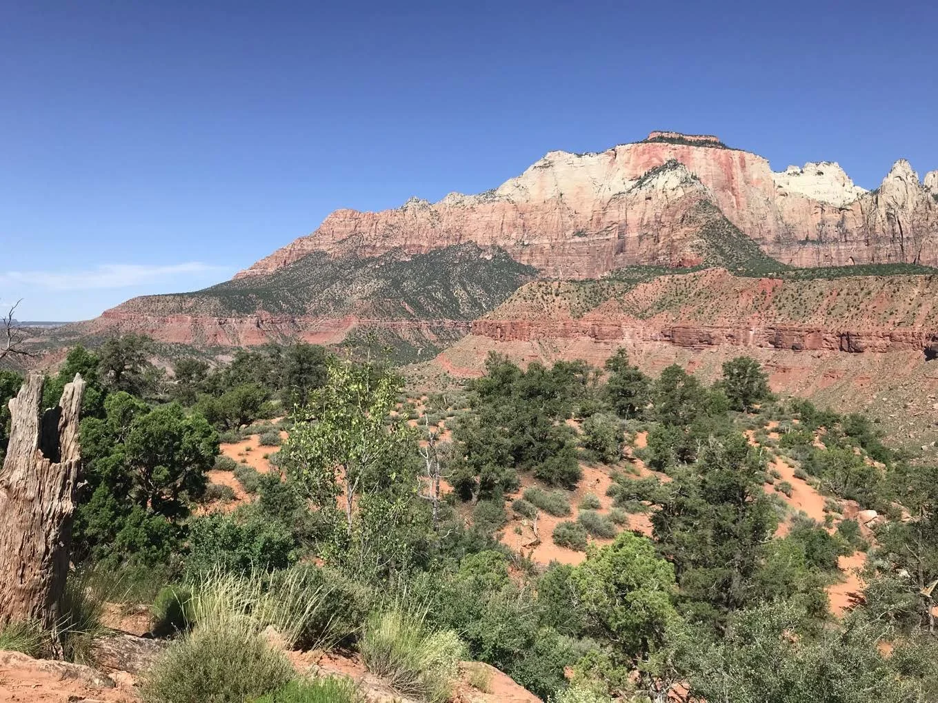 About FACE Article.jpg