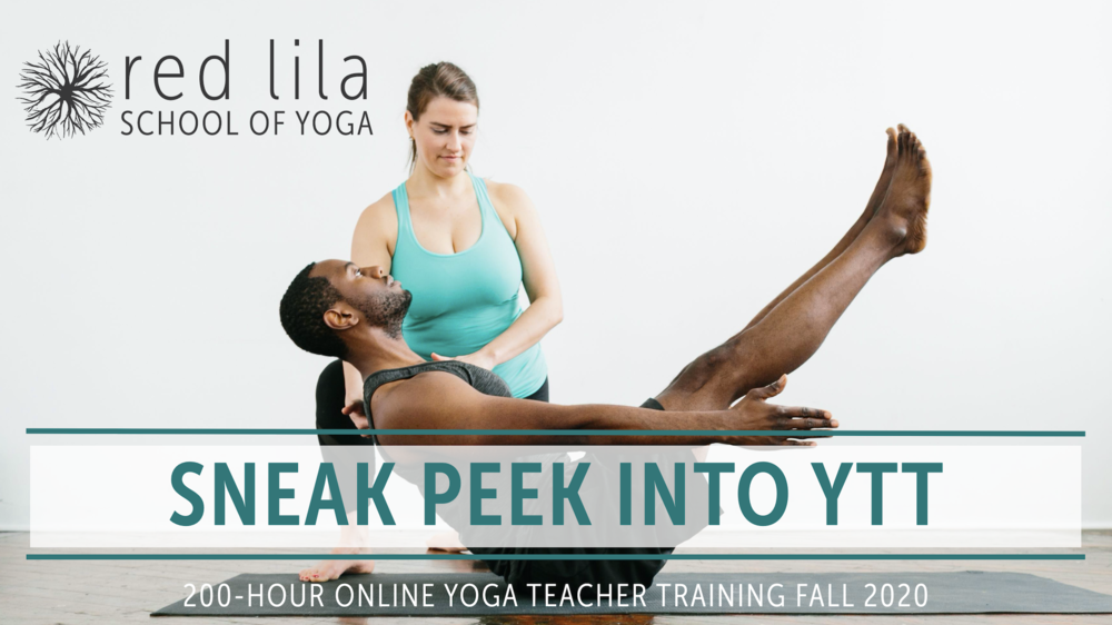 200hr Online Yoga Teacher Training — YOGABYCANDACE