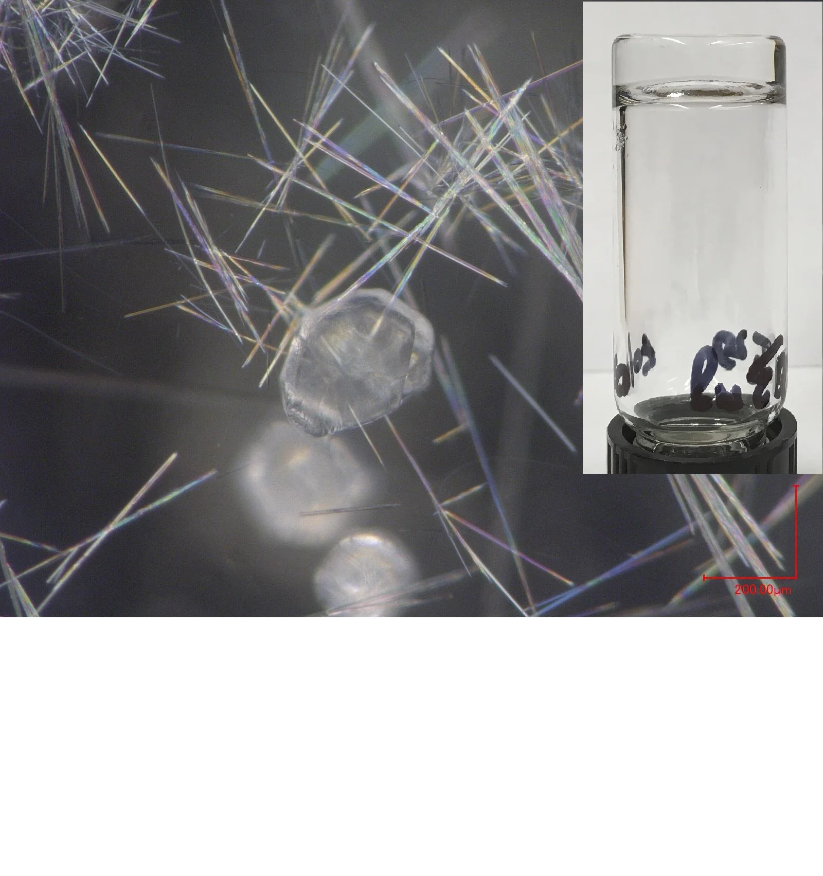 complex fluids.png