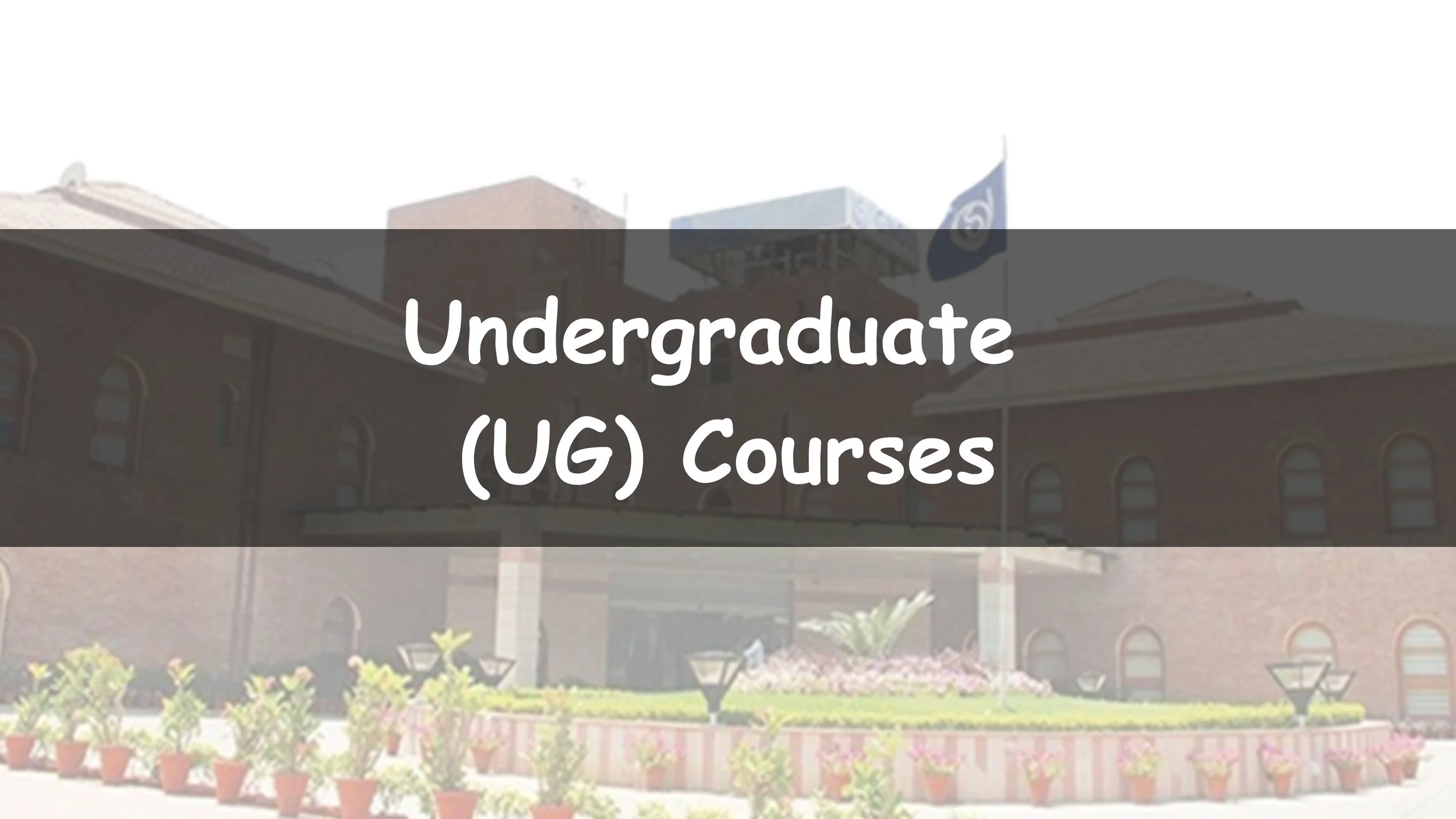 https://www.studyalphaacademy.com/undergraduate-ug-courses-coaching-study-alpha-academy