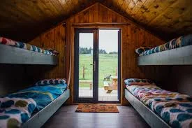 Glamping Pod - The Jungle NI