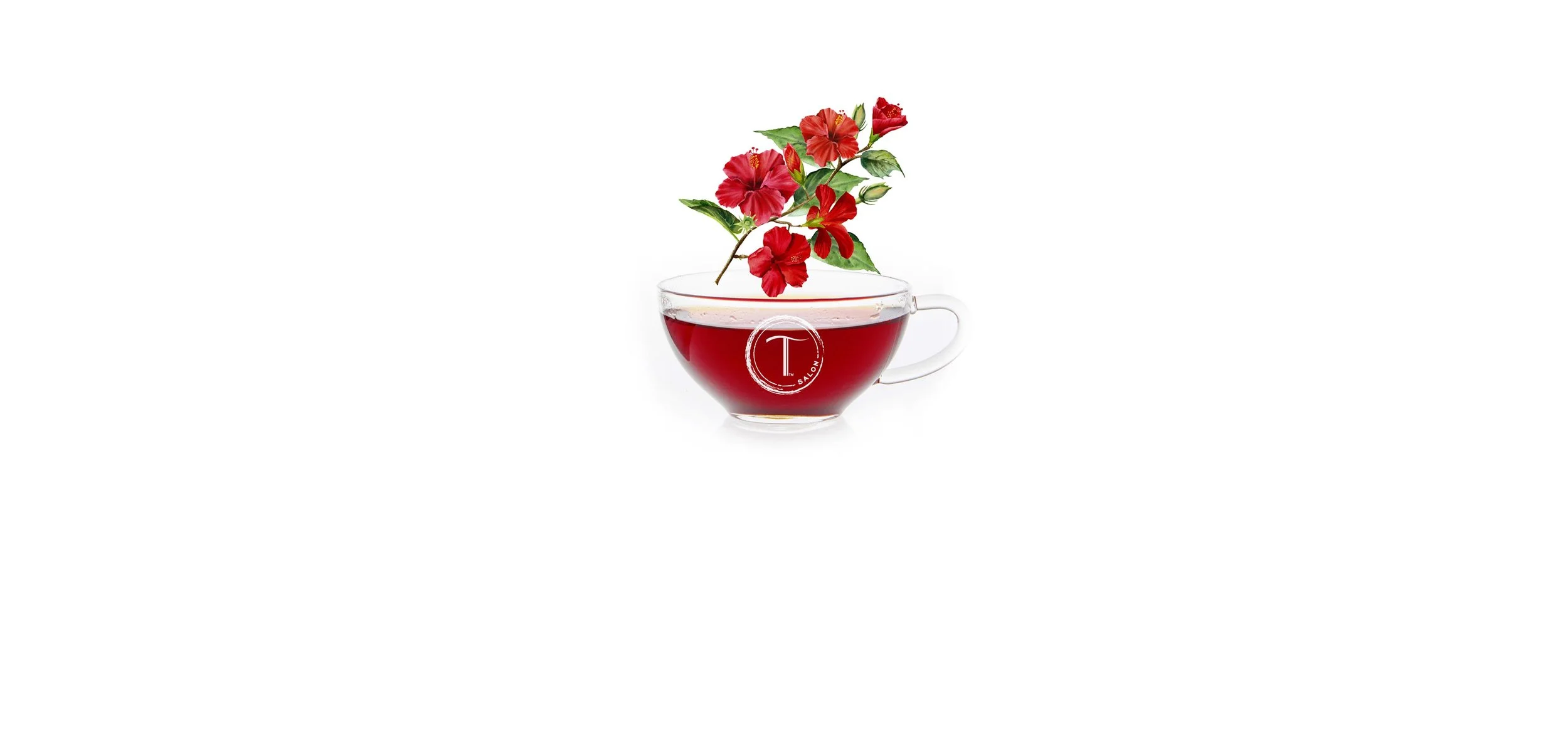 Hibiscus_web_banner_a.jpg