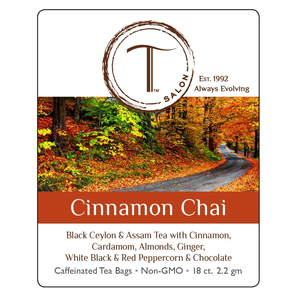 TSalon_Fall_Collection_CinnamonChai_1.jpg