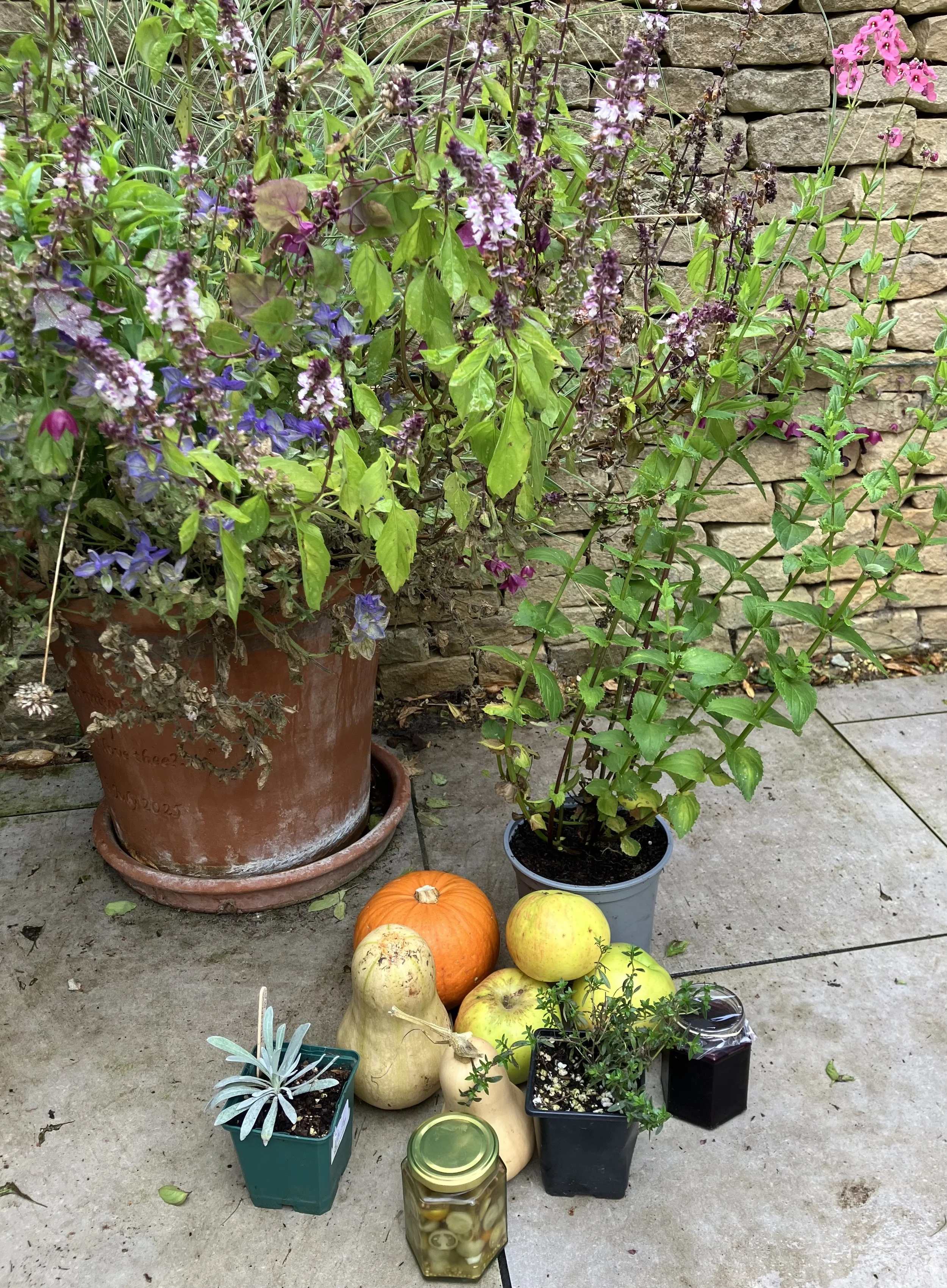 Harvest Bounty - in plenty!