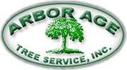 AA_logo.png