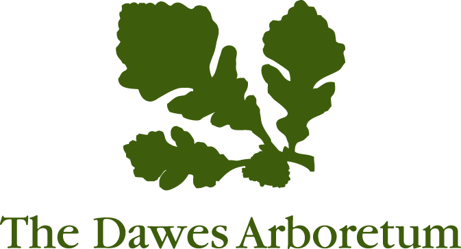 Dawes logo - no tag line green.png