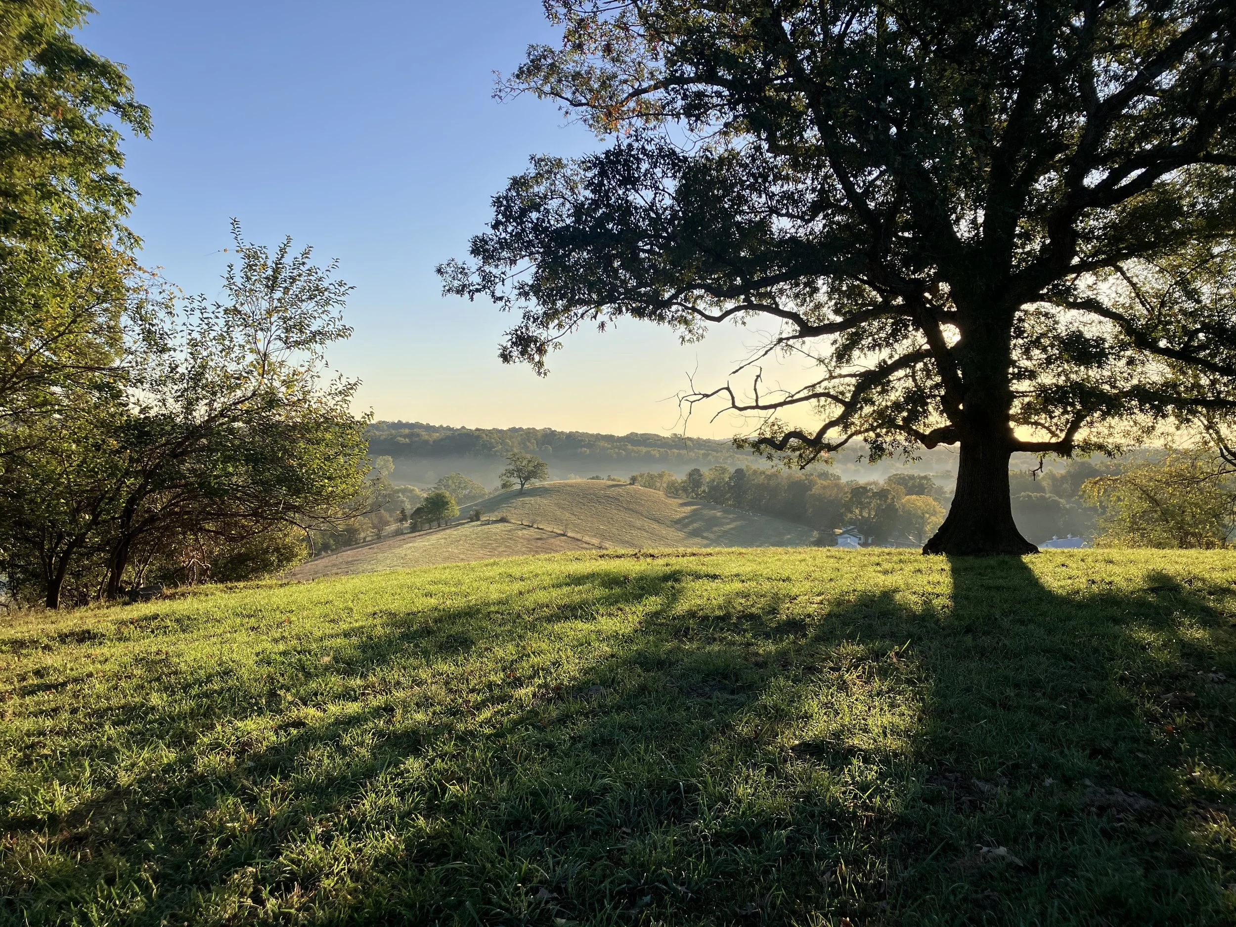 Expanding Our Protected Lands – Growing the Green Tapestry