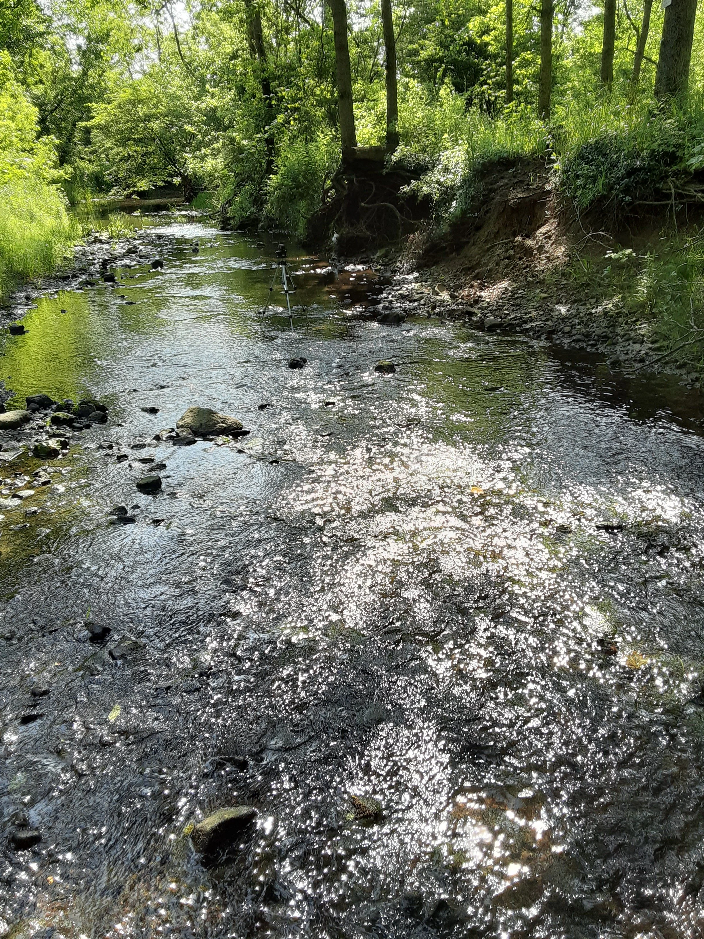 Securing Our Future – Fueling the Green Revolution