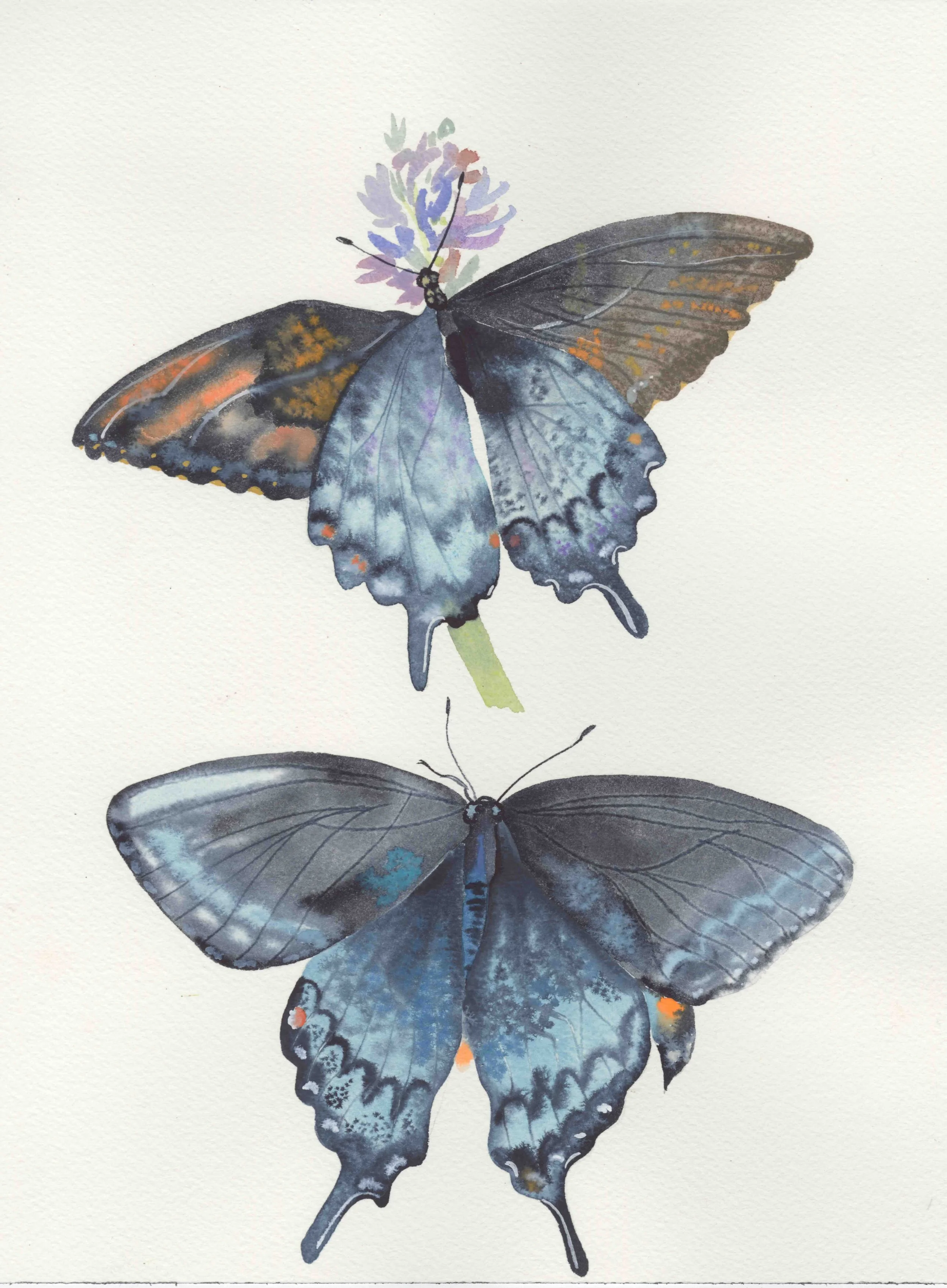 Painting for Pollinators