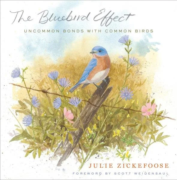 Julie Zickefoose: Books, Birds, and Following Passion’s Path