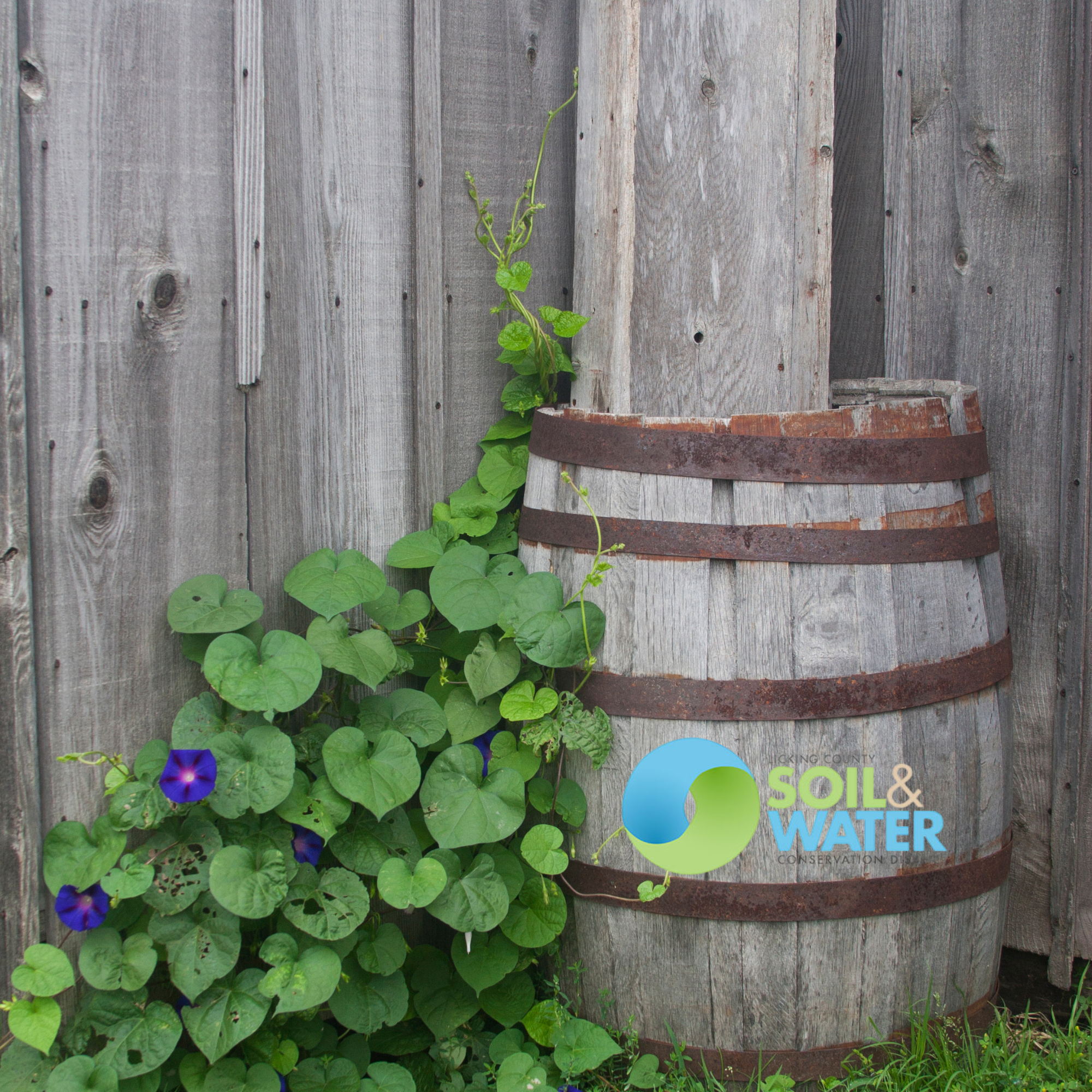 Backyard Conservation Day &amp; Master Gardener Plant Sale