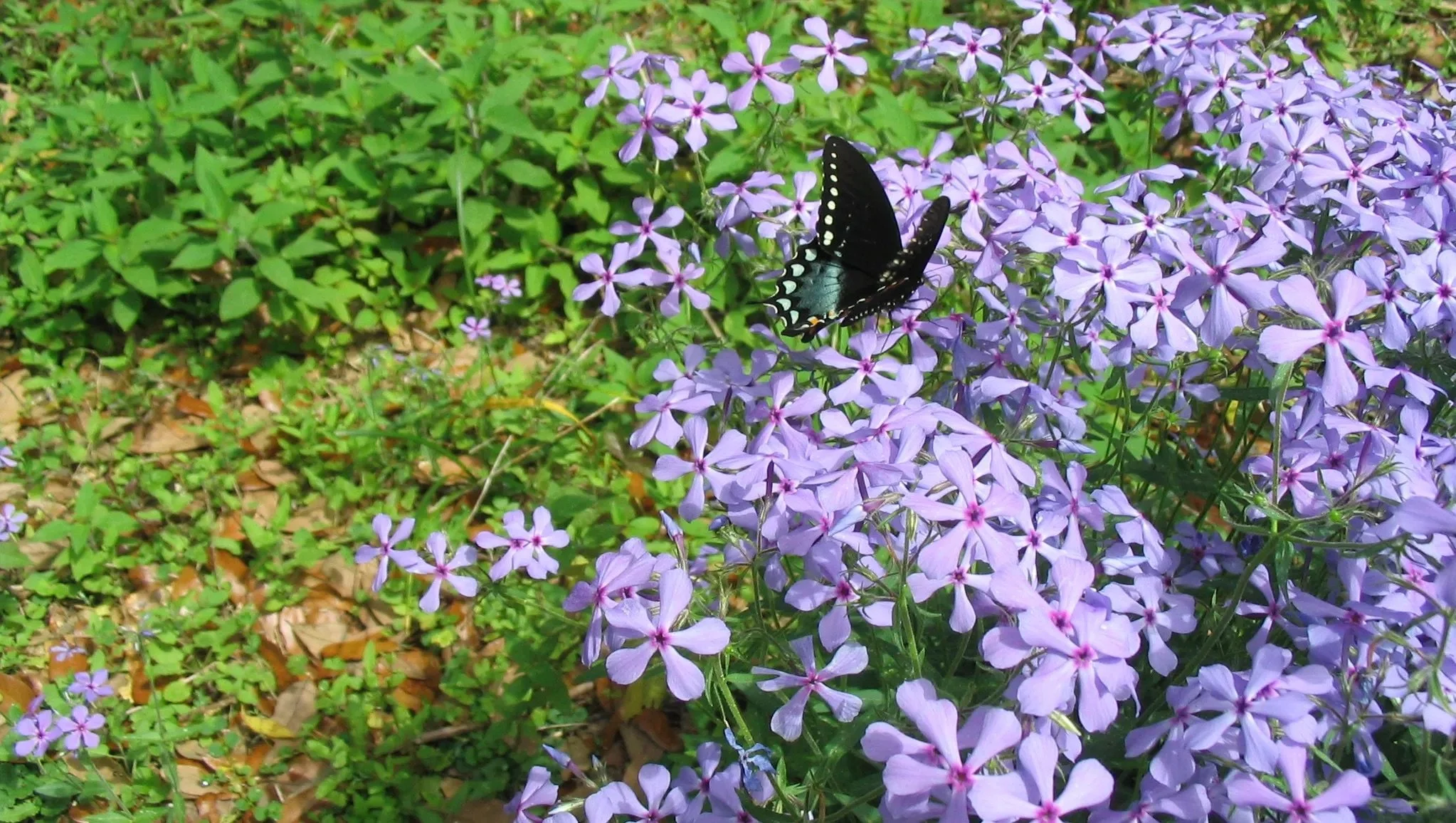 image7.jpeg