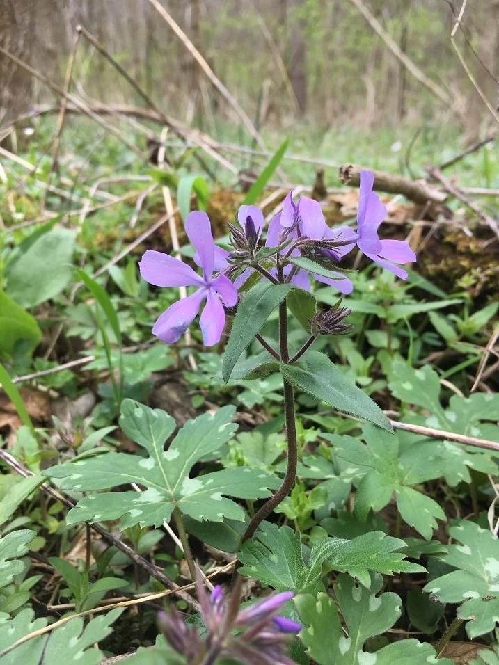 image6.jpeg