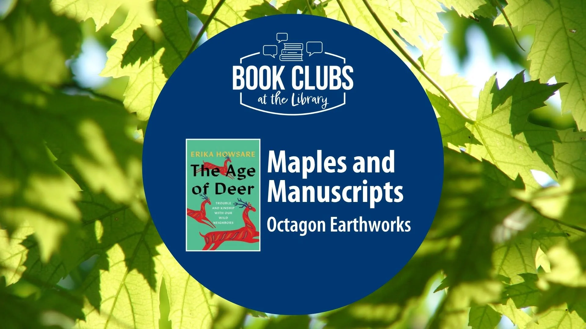 Maples &amp; Manuscripts