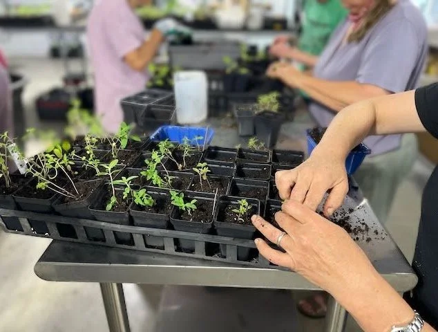 Worker Bees Potting Up Party