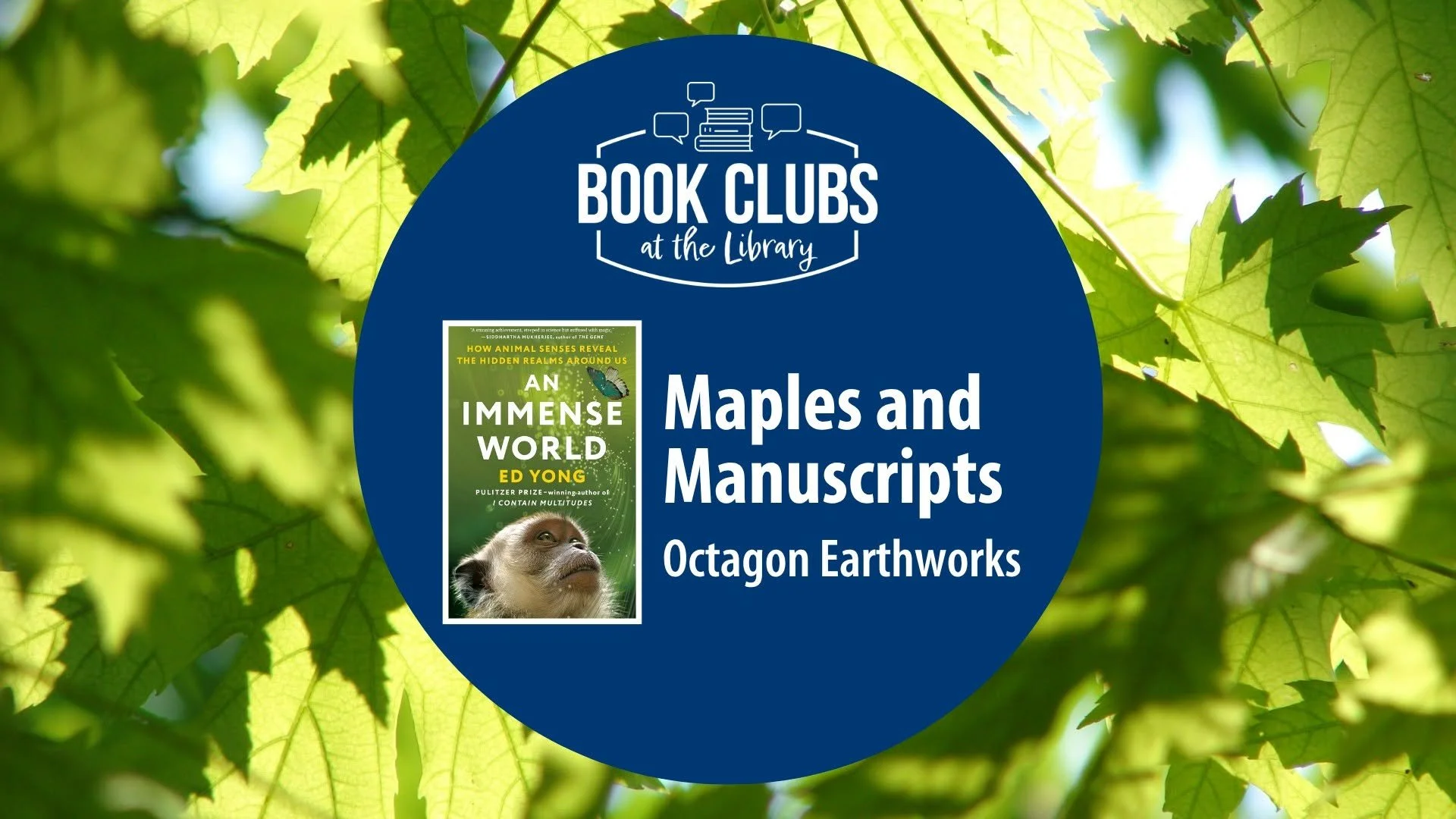 Maples &amp; Manuscripts