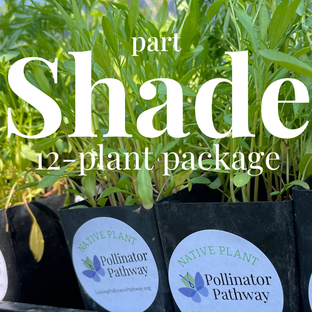 Native Plant Package for SHADE