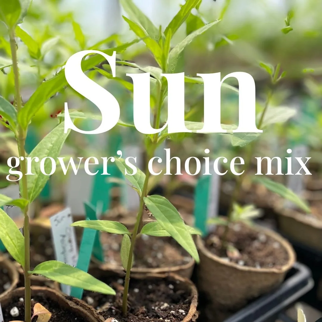 Grower's Choice Package for SUN