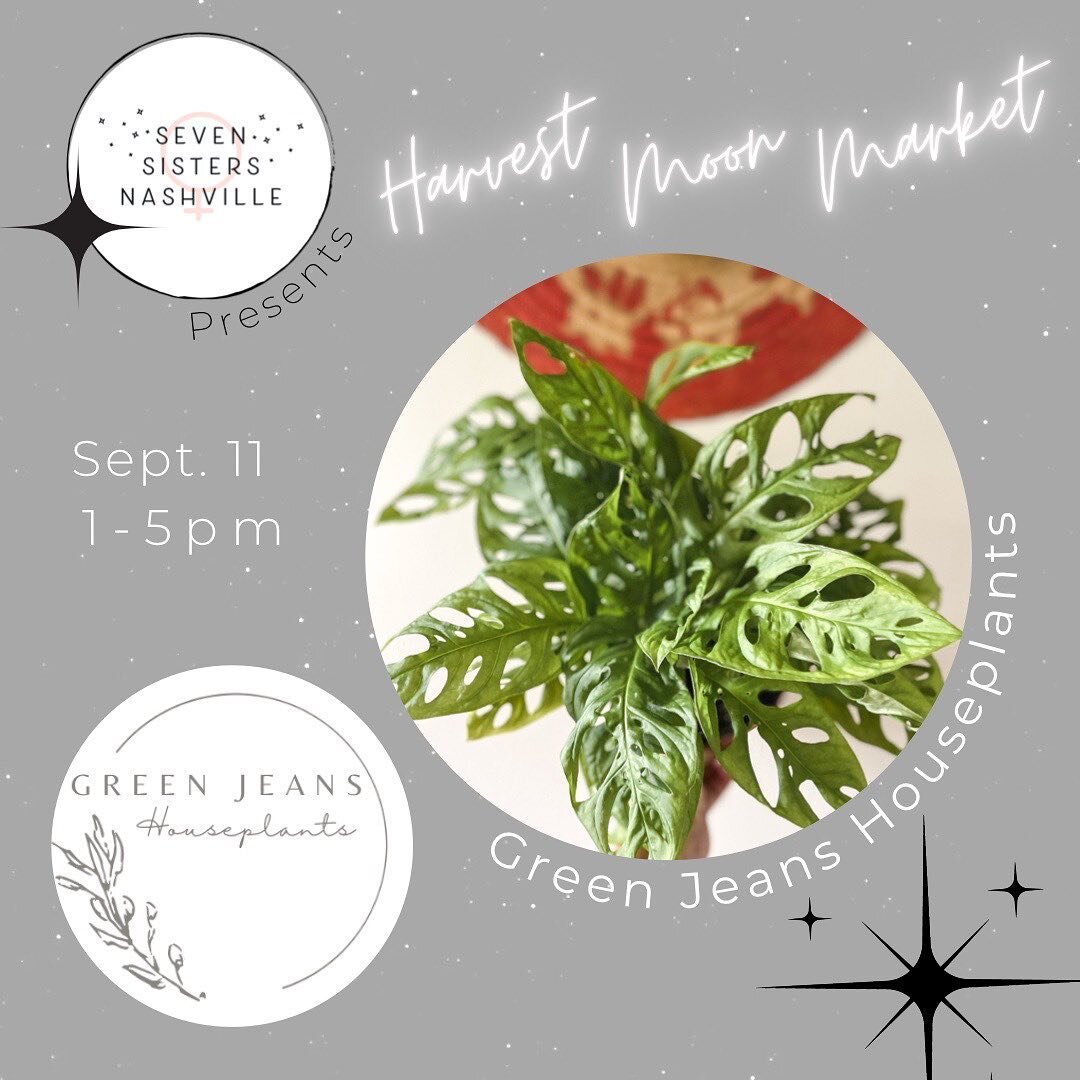 Meet @greenjeanshouseplants ✨ @elementalmoonarts ✨&amp; @avenue724 ✨ 
Green Jeans Plants brings life to everyone&rsquo;s space through easy to love houseplants and hand crafted accessories. 
Elemental Moon Arts crafts wearable talismans and charms in