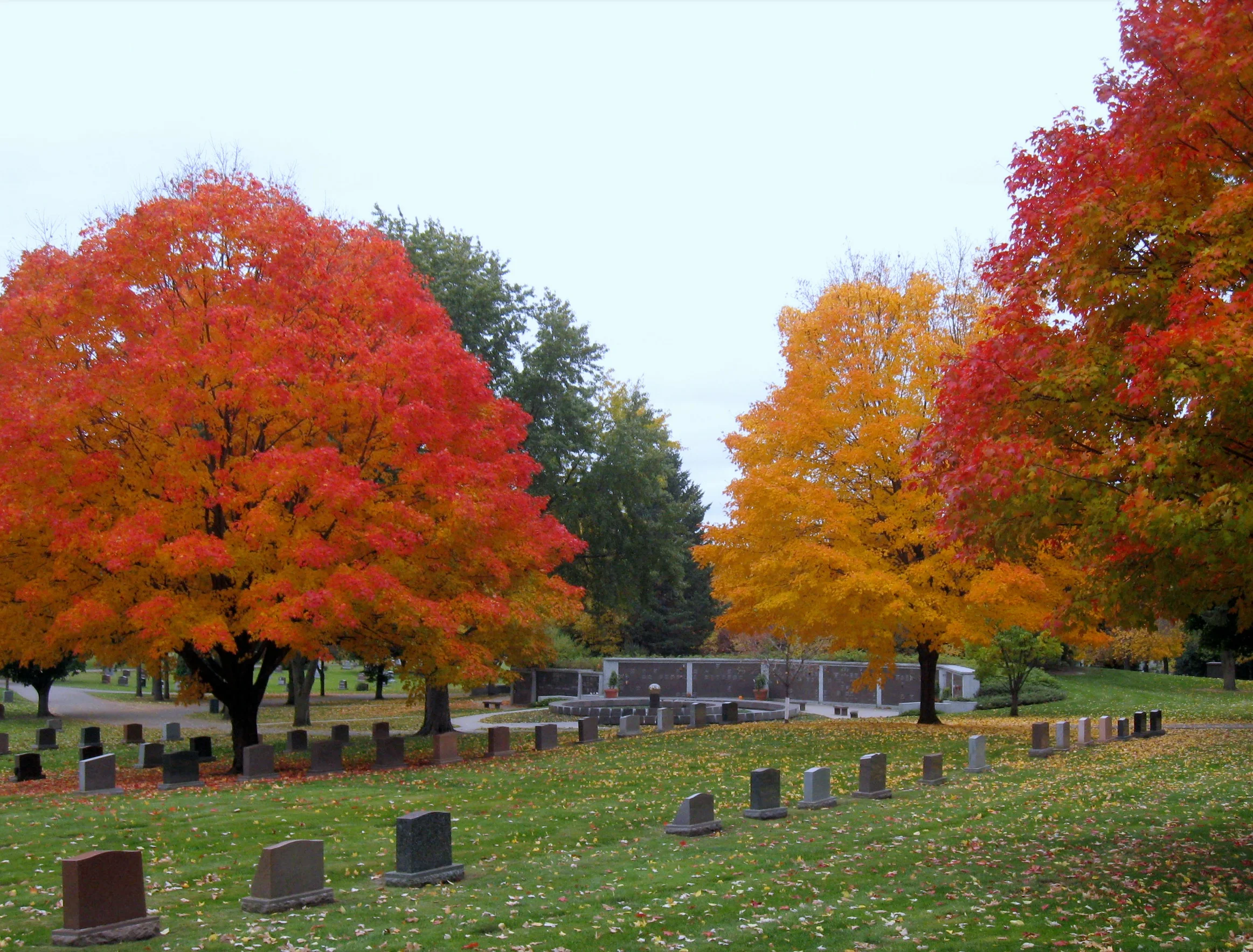 Fall+Pics+Larry.jpg