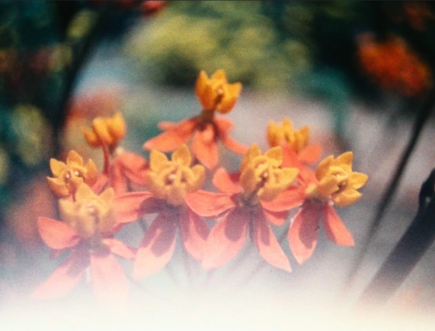 Photo 4 Screenshot_2023-10-30_at_6.21.14_PM.jpeg