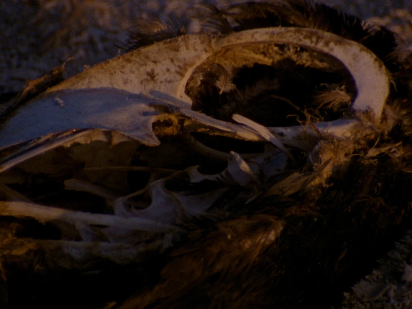 Photo 3 Kipervaser_Next-Her-Heart_STILL4.jpeg