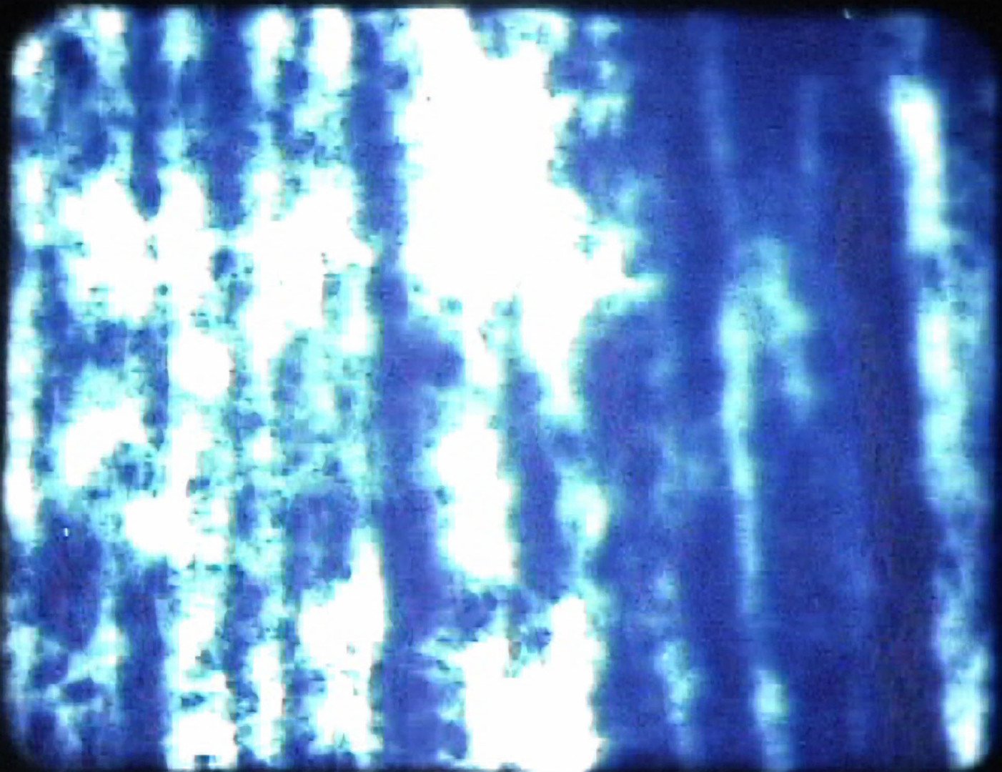 Photo 2 HojasDeMaizBlue.jpeg