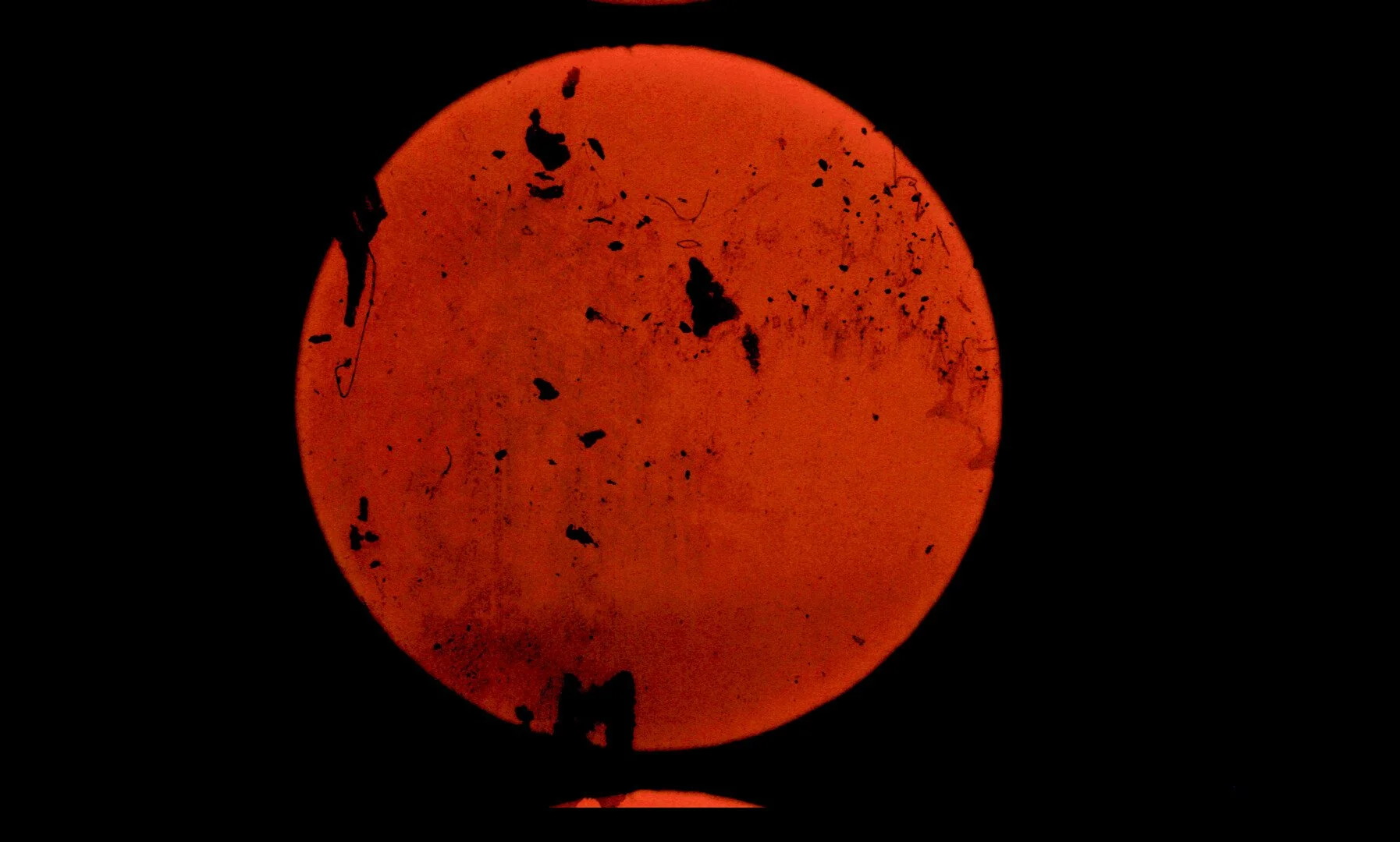 Photo 1 Cercle0.jpeg