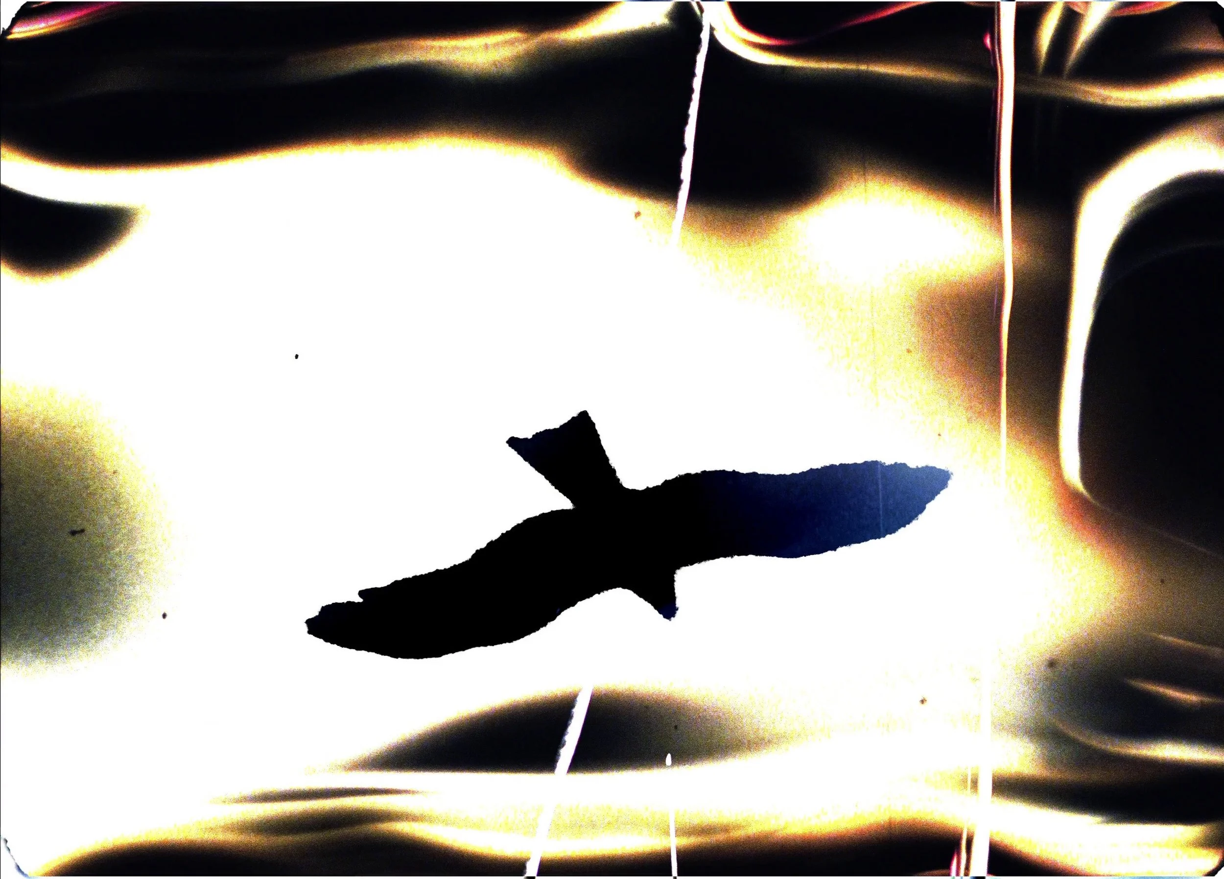 fear of floating 3.jpeg