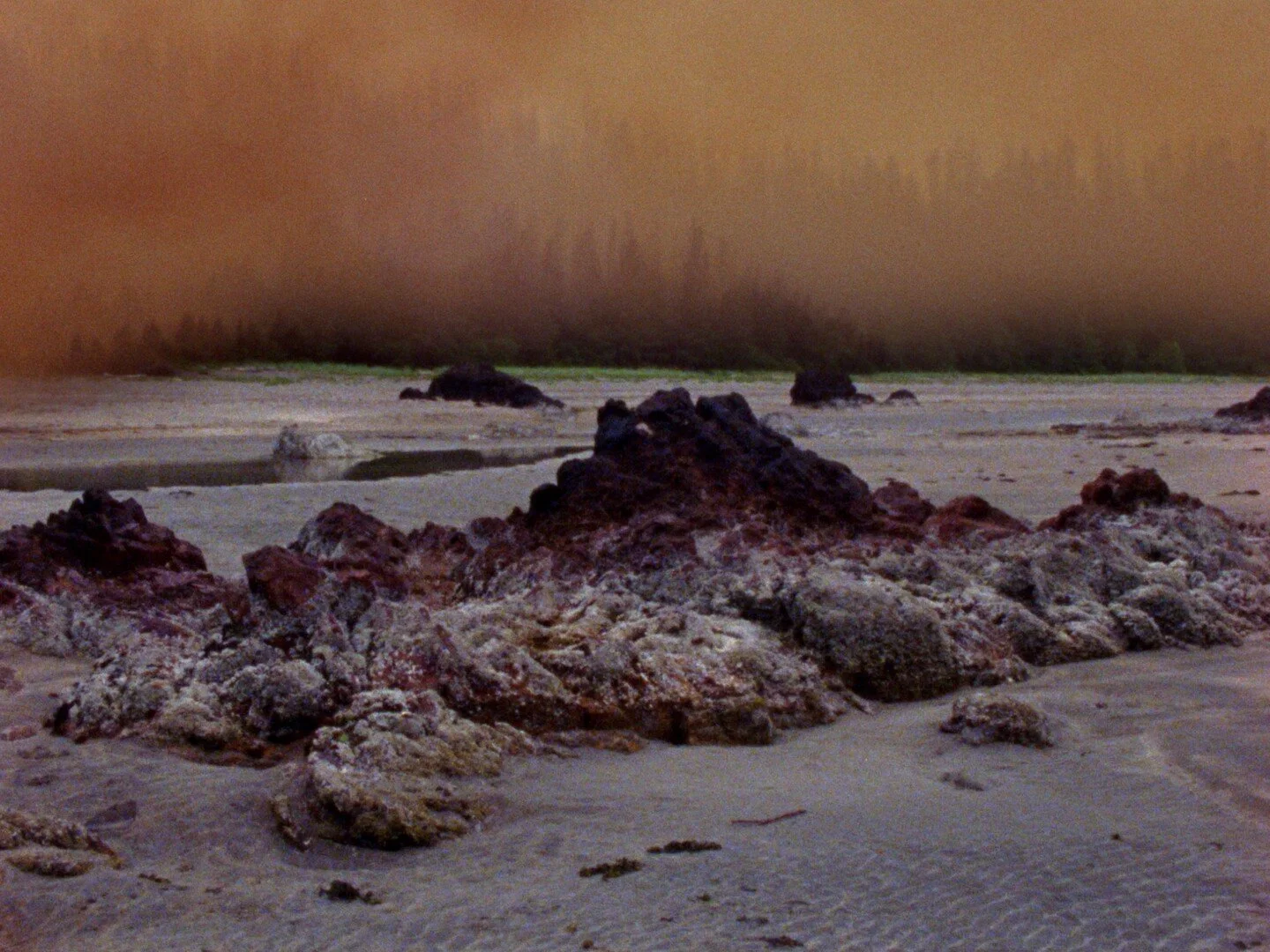 Photo 1 Still_05.jpeg