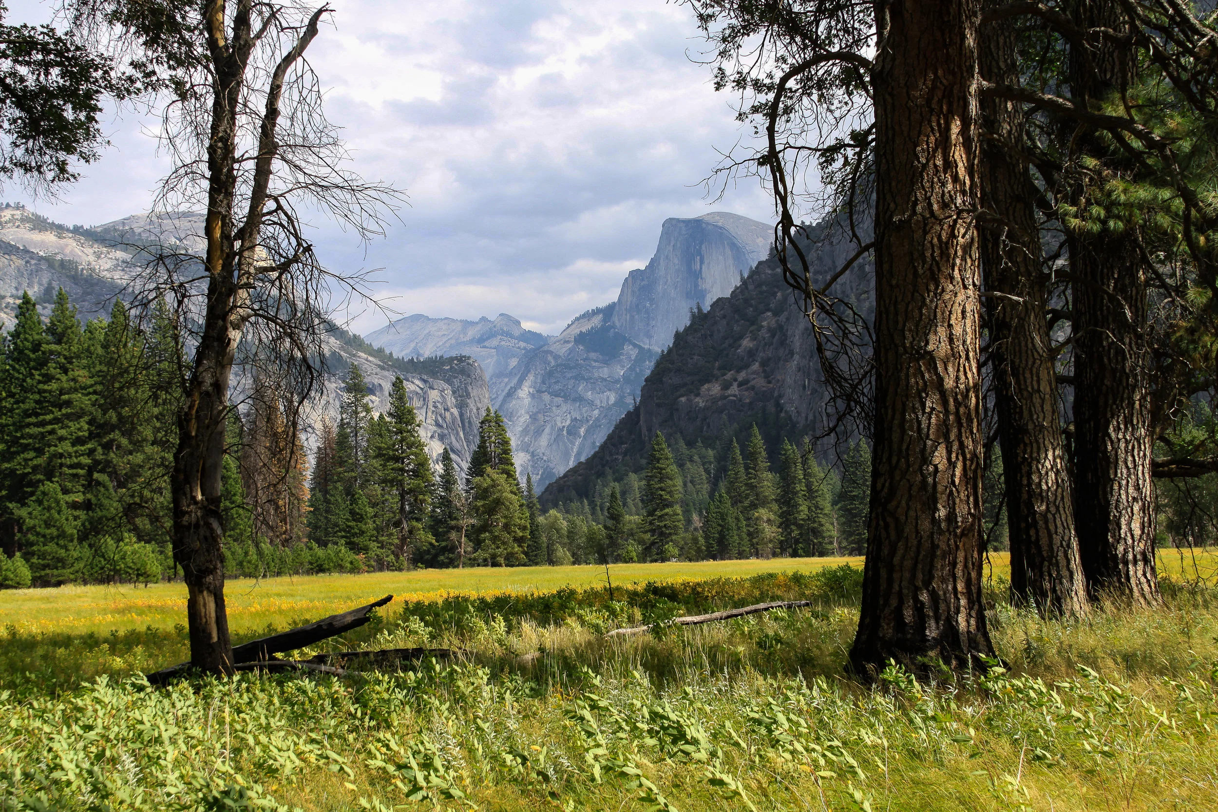 Yosemite Valley-1.jpg