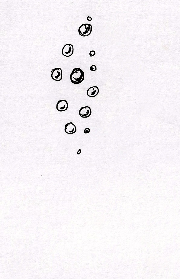 Fish 2 Invisible Fish.JPG