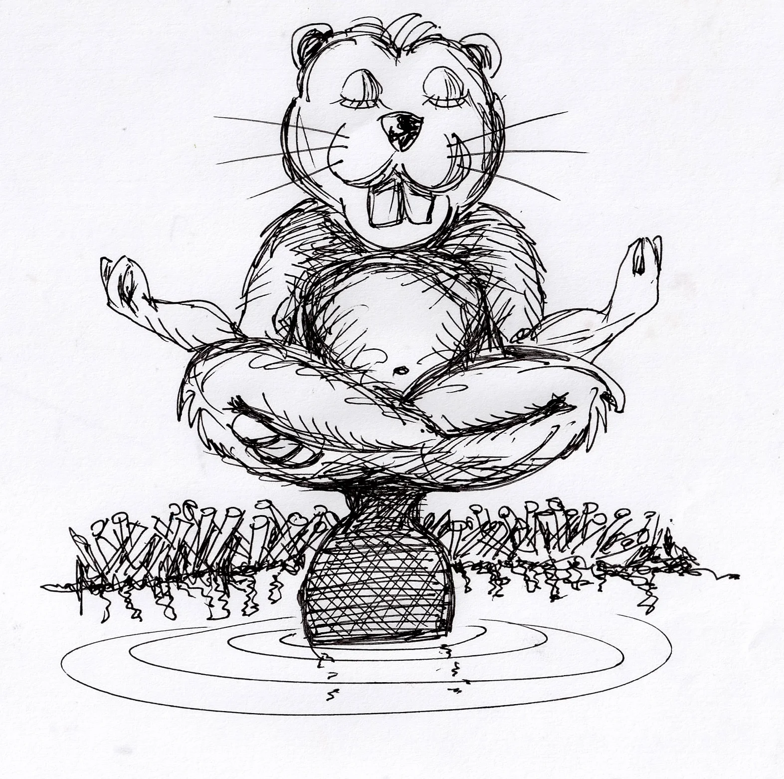 WTF Beaver Budha.JPG